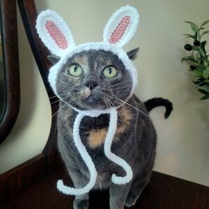 Adorable White and Pink Bunny Ears Cat Hat